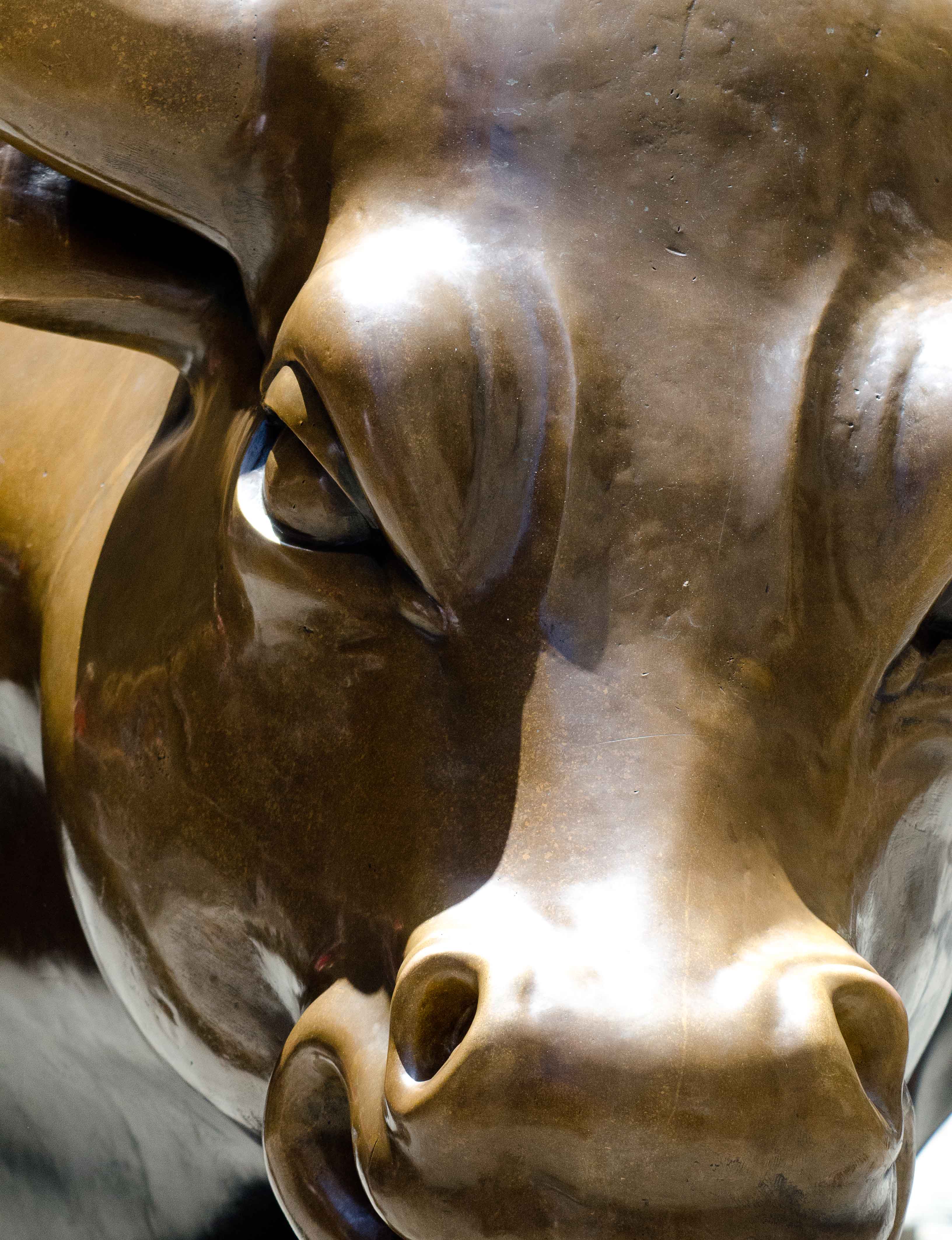 Charging Bull of Wall Street, New York