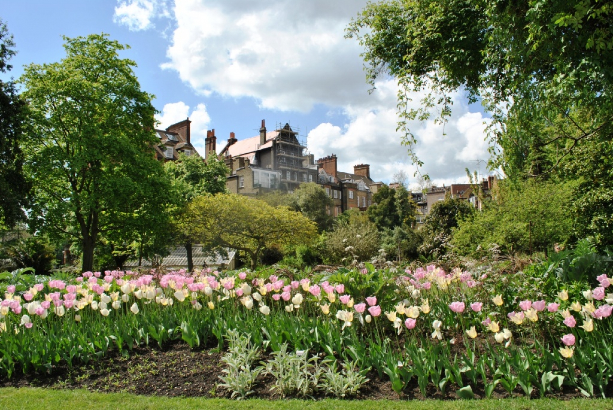 Chelsea Physic Garden, London
